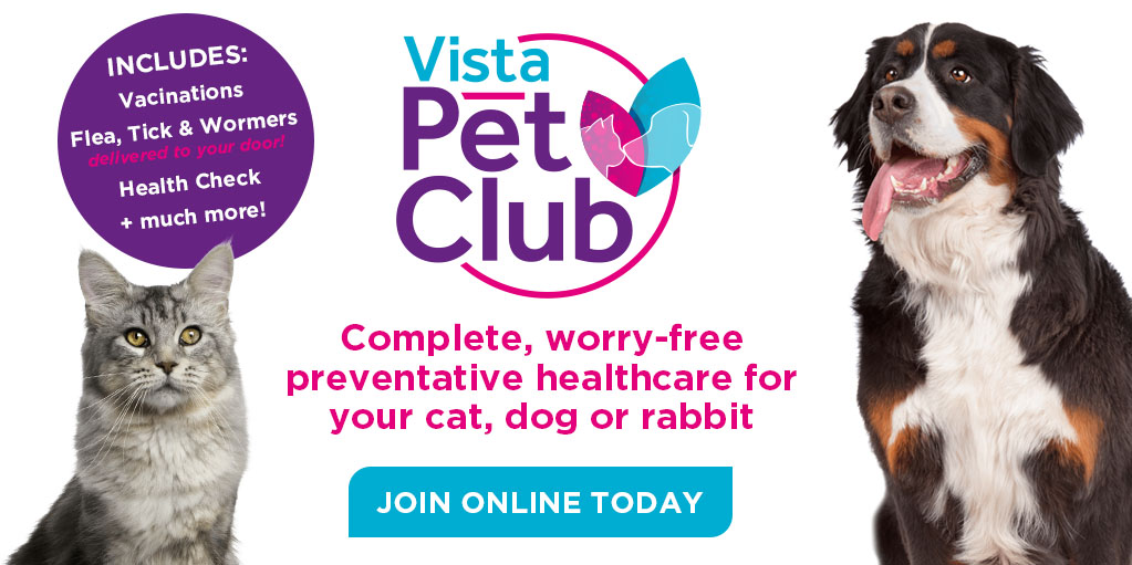 Vista best sale veterinary clinic