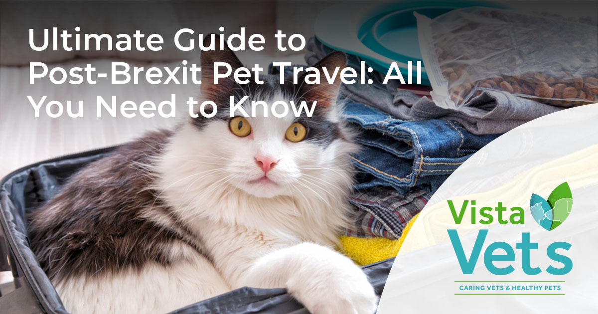 pet travel from eu to uk after brexit