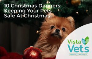 10 Christmas Dangers: Keeping Your Pets Safe At Christmas